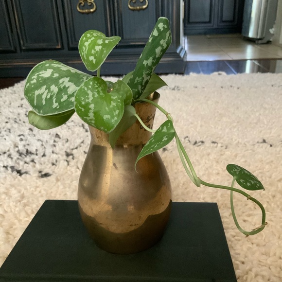 ✨SOLD✨Vintage Solid Brass Vase - Picture 1 of 5